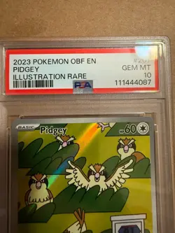 Pidgey 207/197 Sv03: Obsidian Flames Holo psa 10 Graded Pokemon Card GEM MINT - Image 7