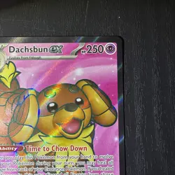 Dachsbun EX #160/142 Stellar Crown Ultra Rare Pokemon TCG - Image 14