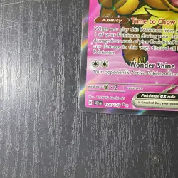 Dachsbun EX #160/142 Stellar Crown Ultra Rare Pokemon TCG - Image 6